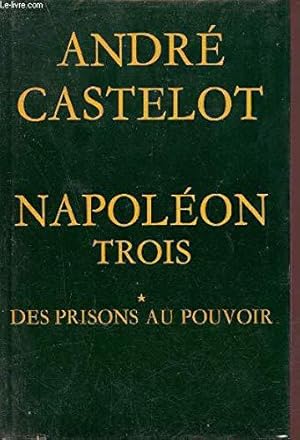 Image du vendeur pour Napolon trois. tome 1 : des prisons au pouvoir mis en vente par JLG_livres anciens et modernes