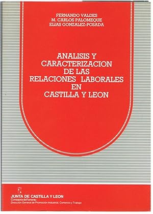 Seller image for ANLISIS Y CARACTERIZACIN DE LAS RELACIONES LABORALES EN CASTILLA Y LEN. for sale by Librera Torren de Rueda