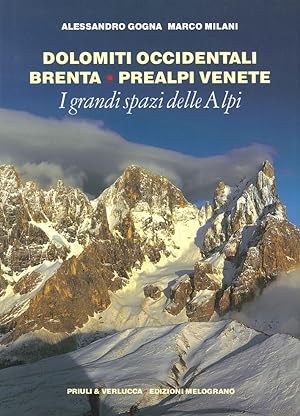 Seller image for I Grandi Spazi delle Alpi. Vol. 7: Dolomiti Occidentali, Brenta, Prealpi Venete for sale by Libro Co. Italia Srl