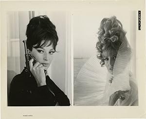 Image du vendeur pour Modesty Blaise (Original photograph from the 1966 film) mis en vente par Royal Books, Inc., ABAA