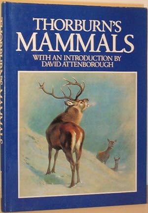 Image du vendeur pour Thorburn's Mammals mis en vente par Washburn Books