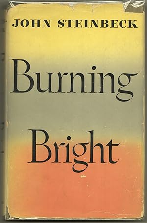 BURNING BRIGHT: A Play in Story Form