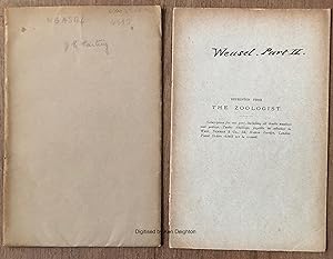 Image du vendeur pour The Weasel Mustela Vulgaris Reprinted from The Zoologist December 1894 POSSIBLY WITH AUTHOR'S SIGNATURE mis en vente par Deightons