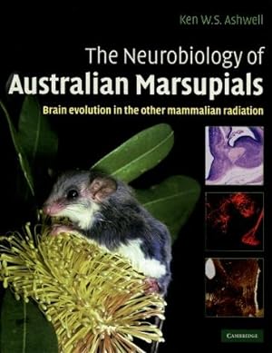 The Neurobiology of Australian Marsupials : Brian Evolution in the Other Mammalian Radiation