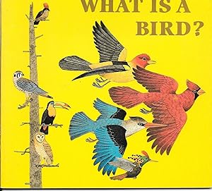 Bild des Verkufers fr What Is a Bird? (Look-Look) zum Verkauf von TuosistBook