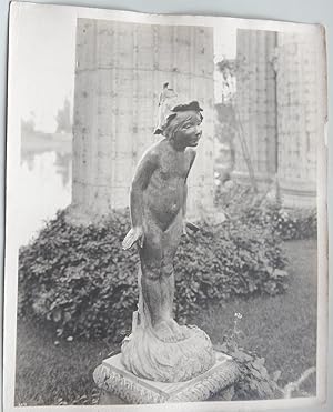 Wild Flower. Sculpture.Original photo Pan Pacific International Exposition.