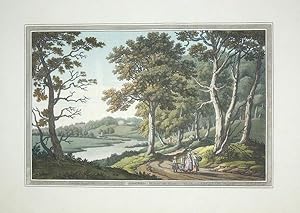 Original Hand Coloured Antique Aquatint Print Illustrating a View of Nuneham from the Wood in Oxf...