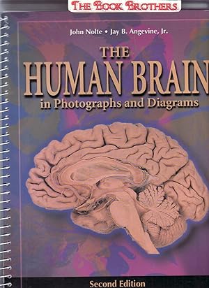 Seller image for The Human Brain: in Photographs and Diagrams; Second Edition,558 Illustrations for sale by THE BOOK BROTHERS