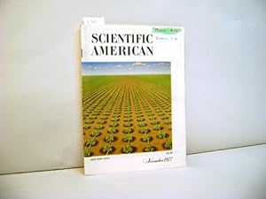 Image du vendeur pour Scientific American mis en vente par Zellibooks. Zentrallager Delbrck