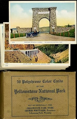 Set of 50 Polychrome Color Cards of the Yellowstone National Park