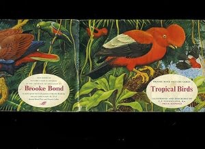 Seller image for Brooke Bond Picture Cards: Tropical Birds for sale by Little Stour Books PBFA Member