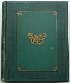Fr. Berge's Schmetterlings-Buch. Fünfzig kolorierte Tafeln mit 900 Abbildungen. Sechste Auflage [...