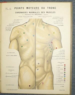 Tableaux des points moteurs des nerfs et des muscles et chronaixes normales des muscles. Mit 6 fa...