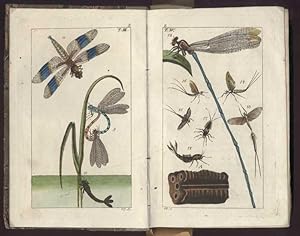 Unterhaltungen aus der Naturgeschichte. Der Insecten dritter Theil