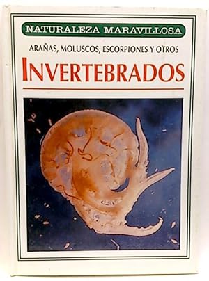 Naturaleza Maravillosa. Invertebrados, Arañas, Moluscos, Escorpiones Y Otros