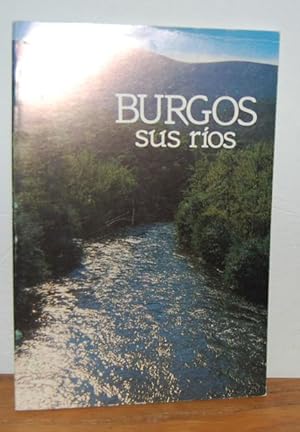 Imagen del vendedor de BURGOS, sus ros a la venta por EL RINCN ESCRITO