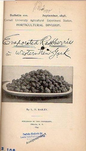 Bild des Verkufers fr Bailey, L. H.: Evaporated Raspberries in Western New York. (Bulletin 100: p. 439-478) // Bailey, L. H.; Miller, Wilhelm and Hunn, C. E.: The 1895 Chrysanthemums. (Bulletin 112: p. 209-244) // Bailey, L. H.: Suggestions for The Planting of Shrubbery. (Bulletin 121: p. 437-466) // Bailey, L. H.: Second Report upon Extension Work in Horticulture. (Bulletin 122: p. 469-504) // Slingerland, M. V.: Green Fruit Worms. (Bulletin 123: p. 505-522) // Wyman, A. P. and Kains, M. G.: A second account of Sweet Peas. (Bulletin 127: p. 61-95) // Roberts, I. P. and Clinton, L. A.: Potato Culture. (Bulletin 130: p. 149-163) // Willard, S. D. and Bailey, L. H.: Notes upon Plus for Western New York. (Bulletin 131: p. 165-195) zum Verkauf von Antiquariat Carl Wegner