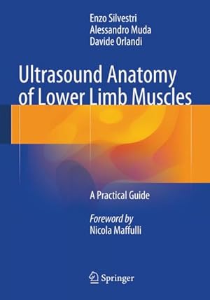 Immagine del venditore per Ultrasound Anatomy of Lower Limb Muscles : A Practical Guide venduto da AHA-BUCH GmbH