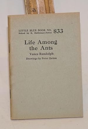 Life among the ants; drawings by Peter Quinn