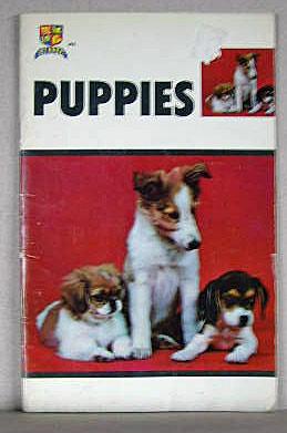 Imagen del vendedor de EVERYTHING YOU NEED TO KNOW ABOUT PUPPIES a la venta por B A Downie Dog Books