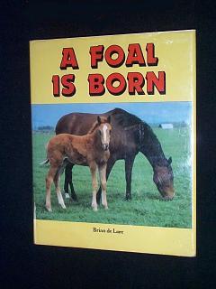 A Foal is Born.