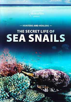 Bild des Verkufers fr Hunters and Healers. The Secret Life of Sea Snails / Wunderschn aber giftig. Das geheimnisvolle Leben der Meeresschnecken zum Verkauf von ConchBooks