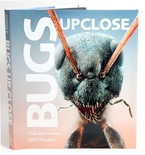 Seller image for Bugs up close: a magnified look at the incredible world of insects. for sale by Andrew Isles Natural History Books