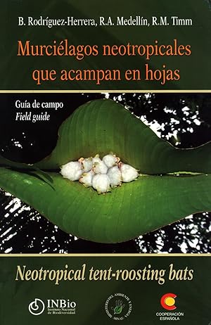 Image du vendeur pour Murcilagos Neotropicales Que Acampan En Hojas: Gua De Campo / Neotropical Tent-roosting Bats: Field Guide mis en vente par Masalai Press