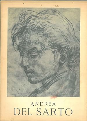 Andrea del Sarto. I grandi maestri del disegno