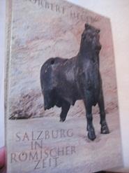 Salzburg in Römischer Zeit Salzburger Museum Carolina Augusteum Jahreschrift 1973-19