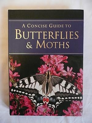 A Concise Guide to Butterflies & Moths
