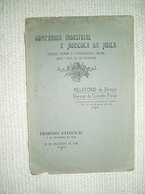 Relatorio da Direcão Parecer do Conseilho Fiscal.,.,. Primeiro Exercicio 4 de Novembro de 1920 a ...