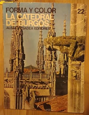 Image du vendeur pour Forma y color. Los grandes ciclos del arte. La Catedral de Burgos mis en vente par La Leona LibreRa