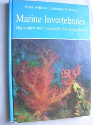 MARINE INVERTEBRATES. Organ-pipe and Leather Corals, Gorgonians.