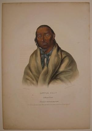 Little Crow: A Sioux Chief