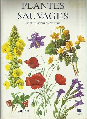 Plantes sauvages