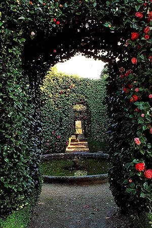 Imagen del vendedor de Secret gardens : revealed by their owners. [Small town hideaways -- Gardens within gardens -- Formal enclosures -- Exuberant gardens -- Natural gardens.] a la venta por Joseph Valles - Books