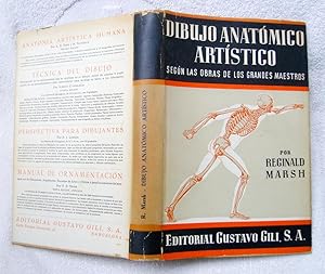 Dibujo anatómico artístico según las obras de los grandes maestros