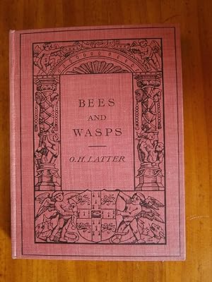 BEES AND WASPS