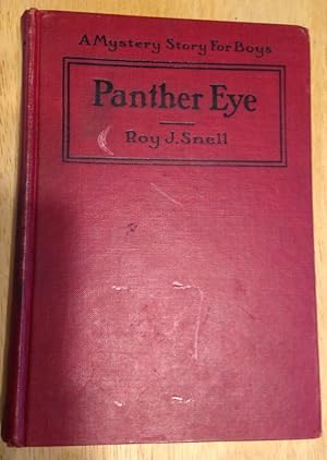 Panther Eye A Mystery Story for Boys