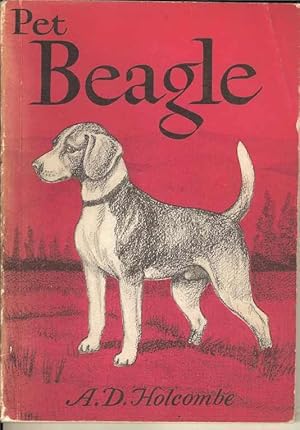 Pet Beagle