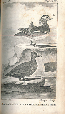 Image du vendeur pour Histoire Naturelle de Buffon, Classe par Ordre, Genres et Espces, D'Aprs le Systme de Linn. Avec Les Caractres Gnriques et La Nomenclature Linnenne. Tome XVI. Oiseaux. Tome VI mis en vente par Barter Books Ltd