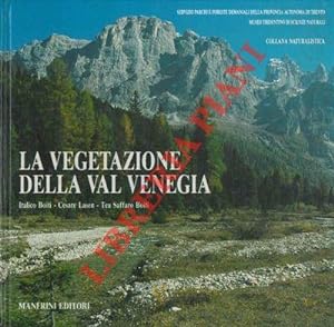 La vegetazione della Val Venegia.