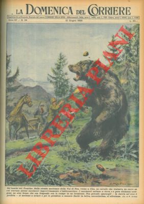 Tre cacciatori s'imbattono in un orso bruno. Non potendo sparargli (la caccia all'orso é proibita...