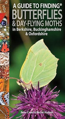 A Guide To Finding Butterflies & Day-Flying Moths. In Berkshire, Buckinghamshire & Oxfordshire.