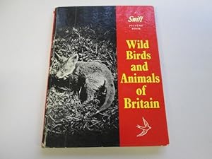 Immagine del venditore per Wild Birds and Animals of Britain venduto da Goldstone Rare Books