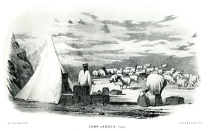 Camp Ladron - Peru - Lithographie aus Exploration of the Valley of the Amazon