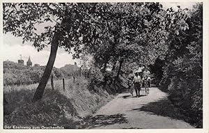 (Königswinter). Der Eselsweg zum Drachenfels.