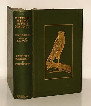Seller image for British Birds in Their Haunts. for sale by Kerr & Sons Booksellers ABA