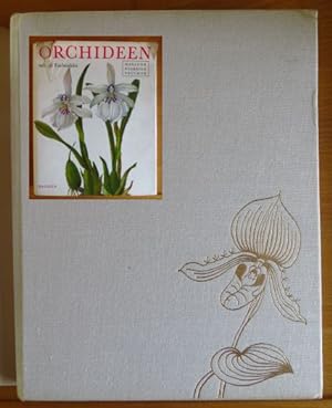 Das farbige Buch der Orchideen.
